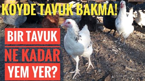 Köy Tavuklarının Fiyatları Ne Kadar?